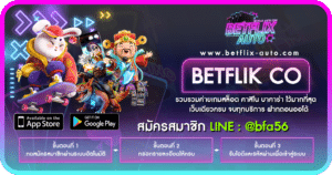 BETFLIK CO